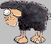 Benutzeravatar